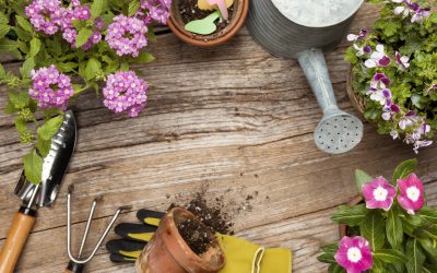 Green Gardening Maintenance Guide For Homeowners
