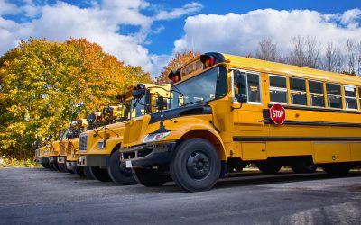Your Guide To Sharing The Road With School Buses