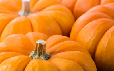 These Local Pumpkin Patches Fill Fall With Fun!
