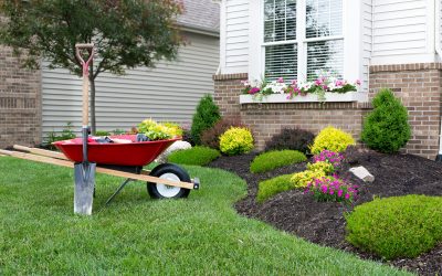 Keep Your Yard Looking Its Best with These Springtime Gardening Tips