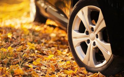 Update Your Auto Insurance for Fall