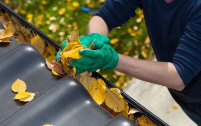 How to Clean Your Gutters for the Fall