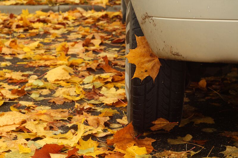 Fall Driving Safety Tips You May Not Have Heard Before