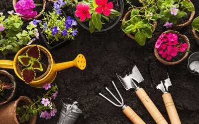 Tips to Get Your Garden Ready for Spring