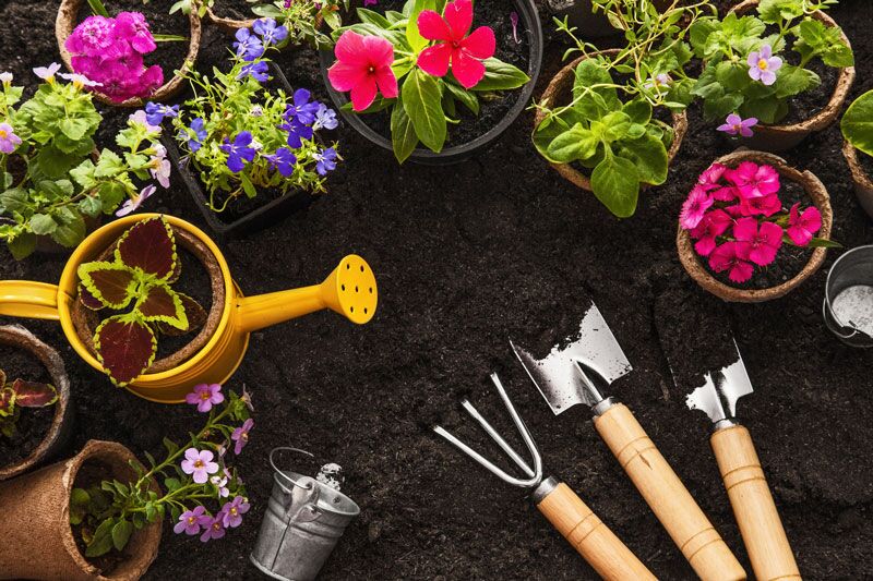 Tips to Get Your Garden Ready for Spring
